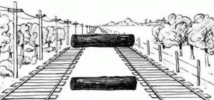 baumstaemme