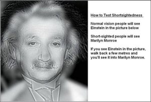 Einstein/Monroe Einstein/Monroe