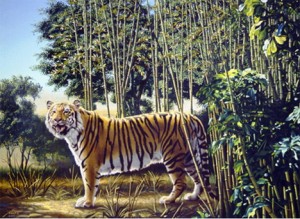 Versteckter Tiger