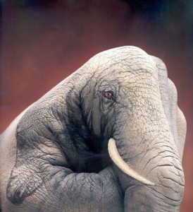 Elefant oder Hand?