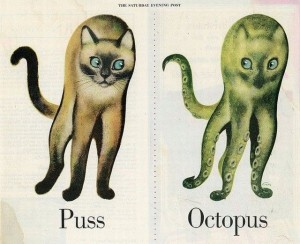 Puss or Octopus