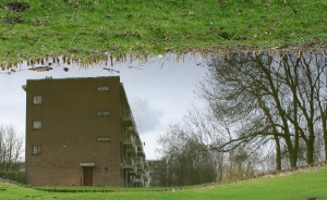 Nur vorgespie(ge)lt Nur vorgespie(ge)lt