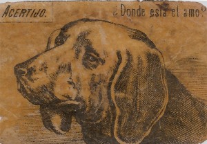 Herrchen gesucht Herrchen gesucht