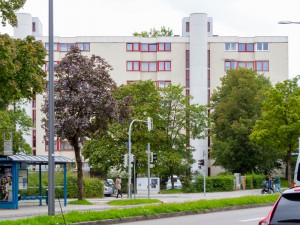 Dachbepflanzung