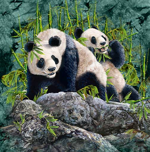 9 Pandas 9 Pandas