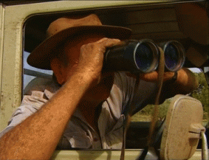 fernglas2