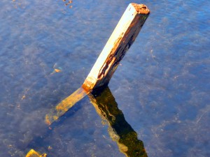 Refraction and Reflection