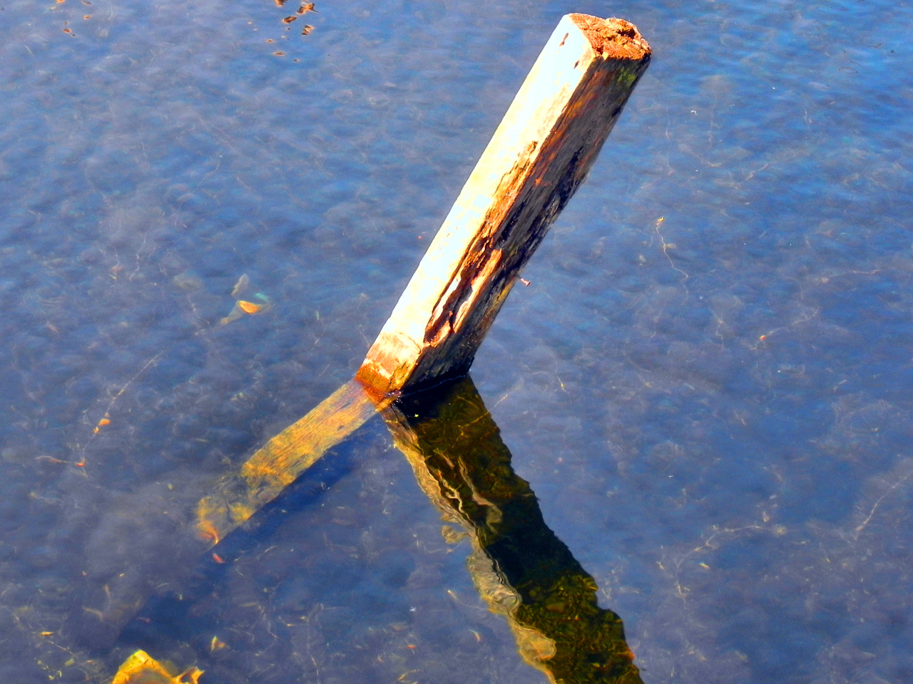 Refraction and Reflection