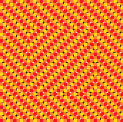 qudratimquadrat