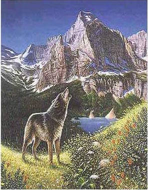 woelfe