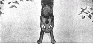 Katze