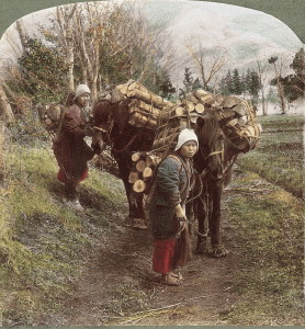 Women hauling firewood in the Meiji era