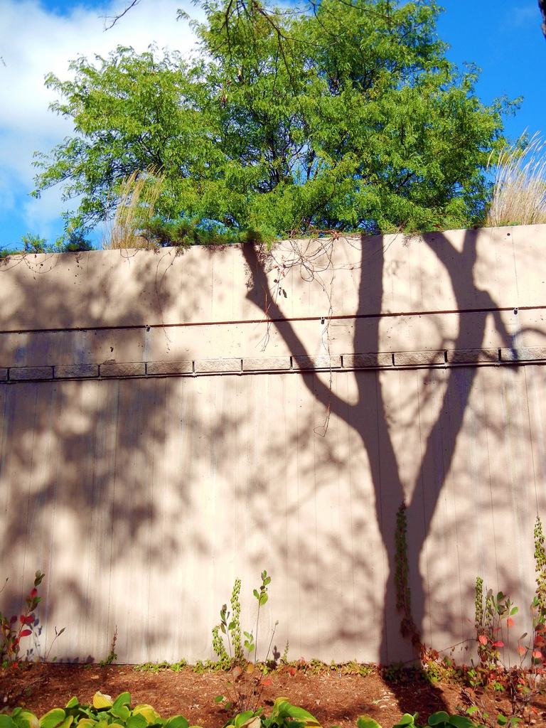 Verrückter Baum Verrückter Baum