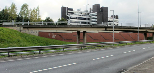 Crindau, Newport
