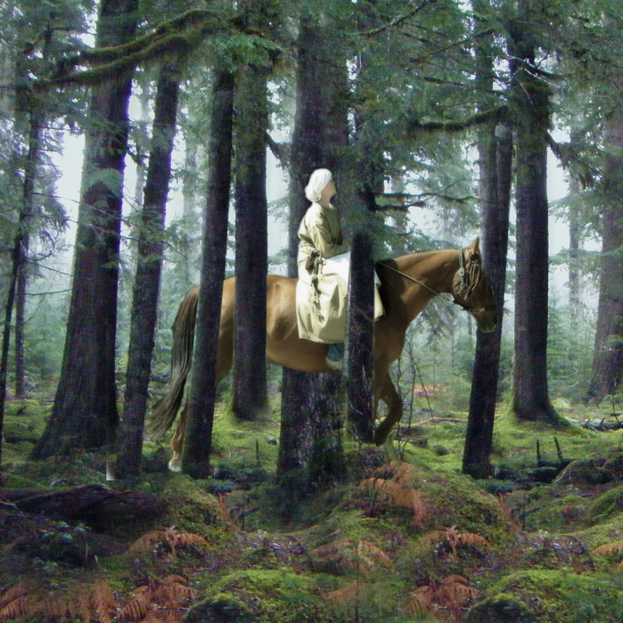 The Forest