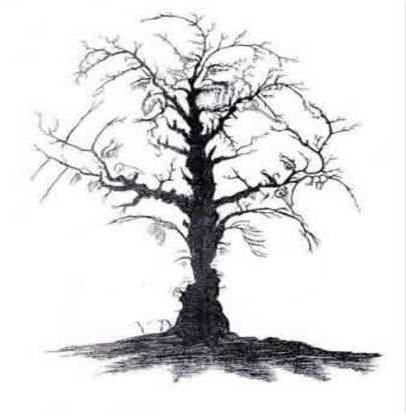Dyan´s Tree