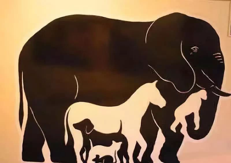 Viele Tiere