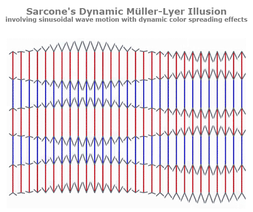 Sarcone-Sinusoiral-Muller-Lyer-Illusion