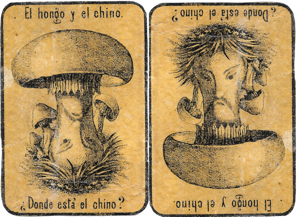 Pilz oder Chinese?