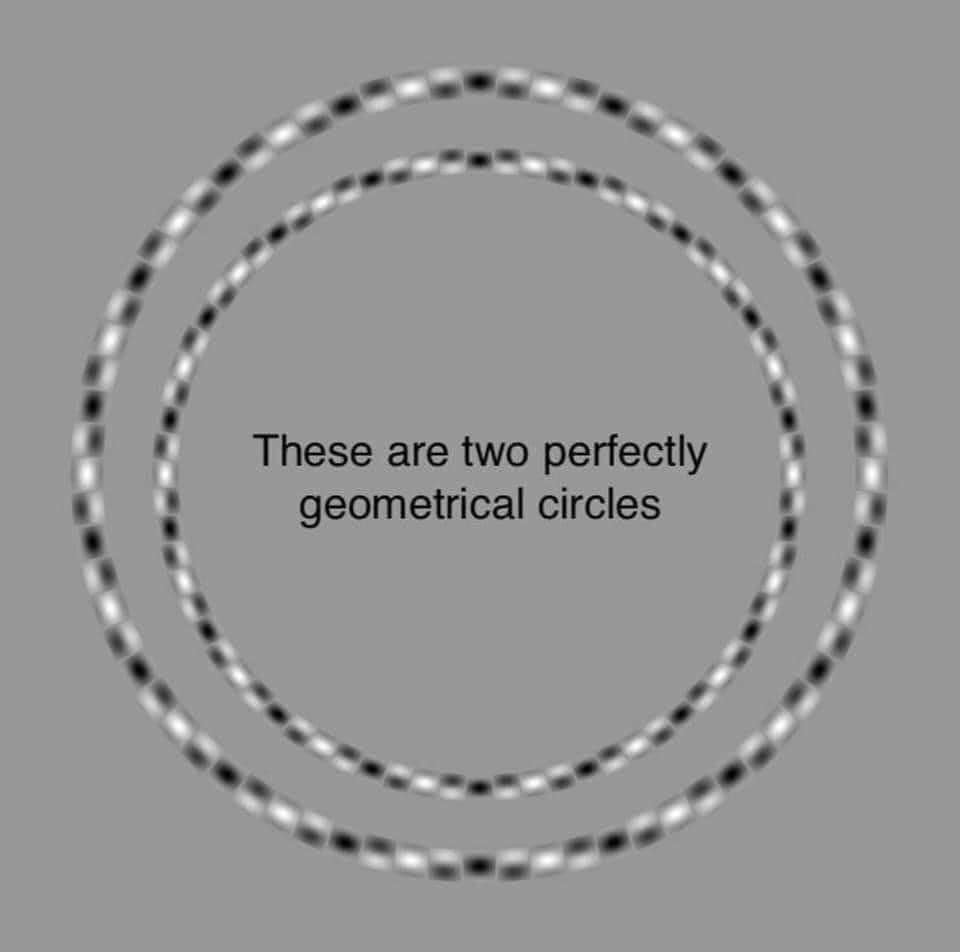 Perfekte Kreise