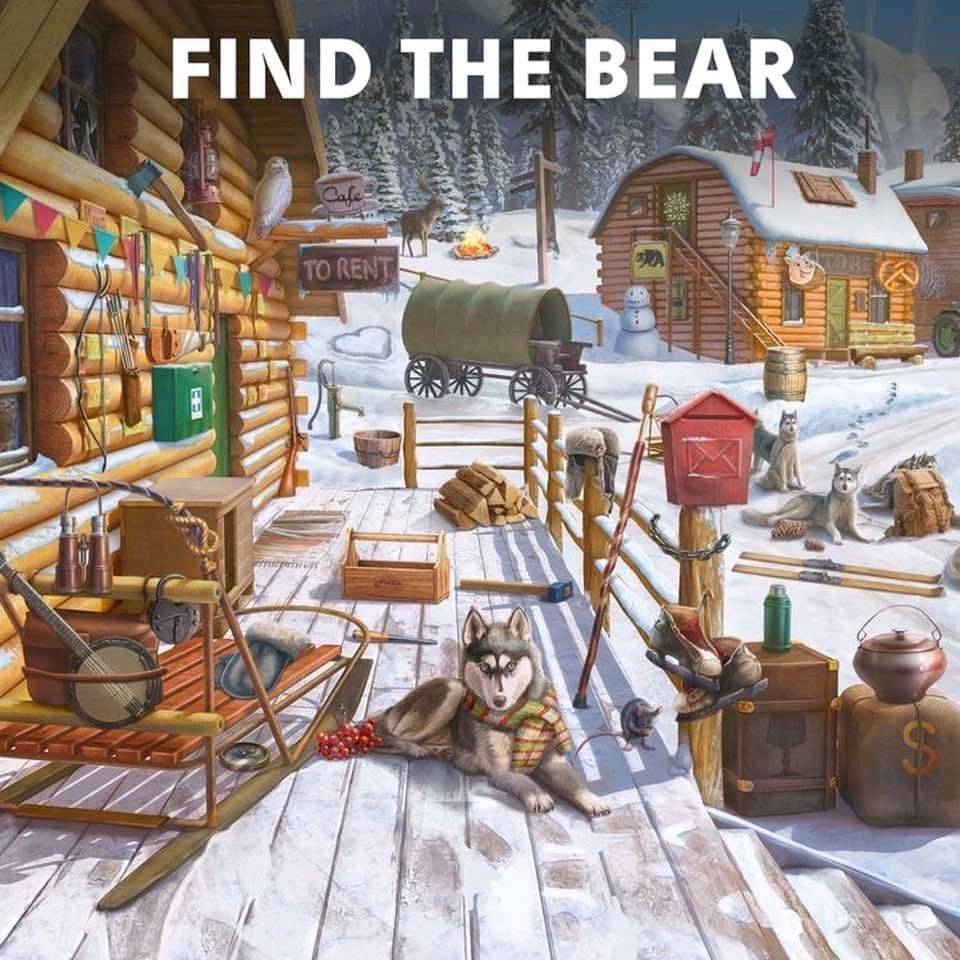 Find the Bear