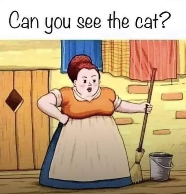 Wo ist die Katze
